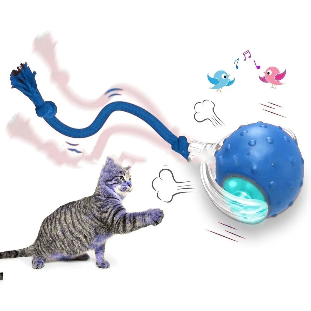 Interactive cat rolling ball toy in grey, green, and red colour options with automatic motion features