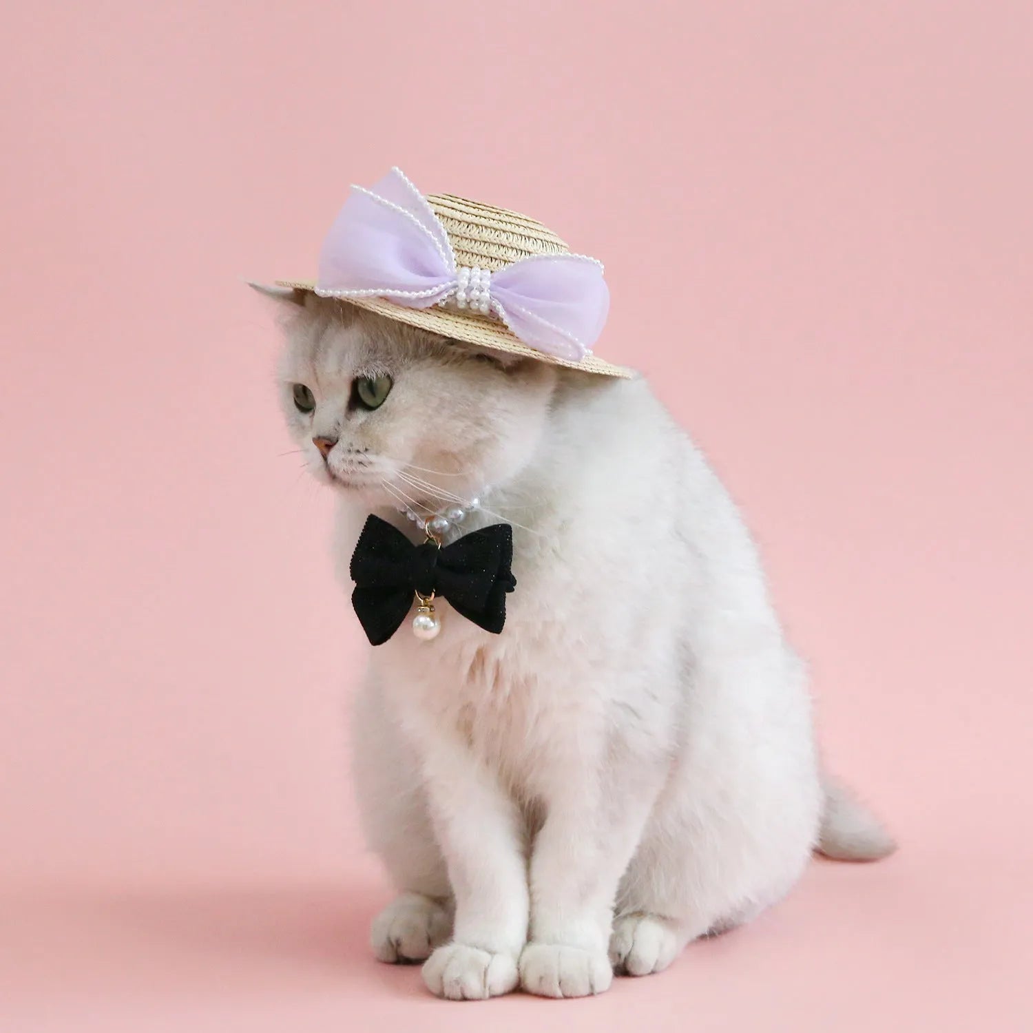 Woven straw hat for a cat with a large central pearl bow, available in blue, pink, purple, and white.