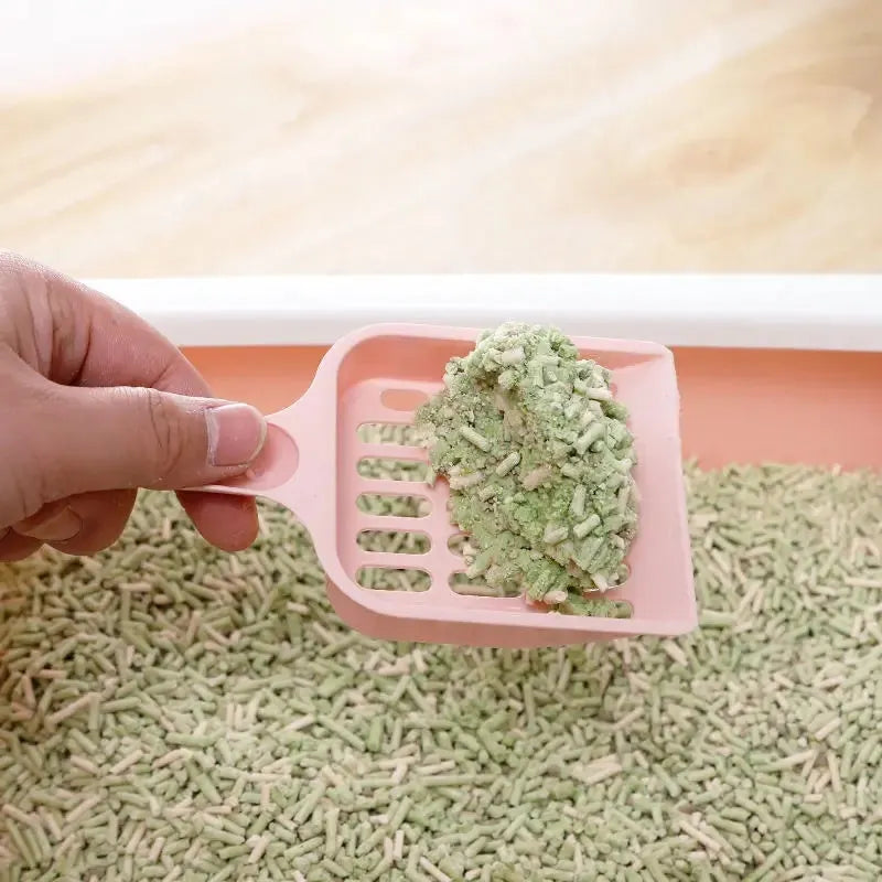 Plastic cat litter scoop in blue, green or pink colours, measuring 20cm long