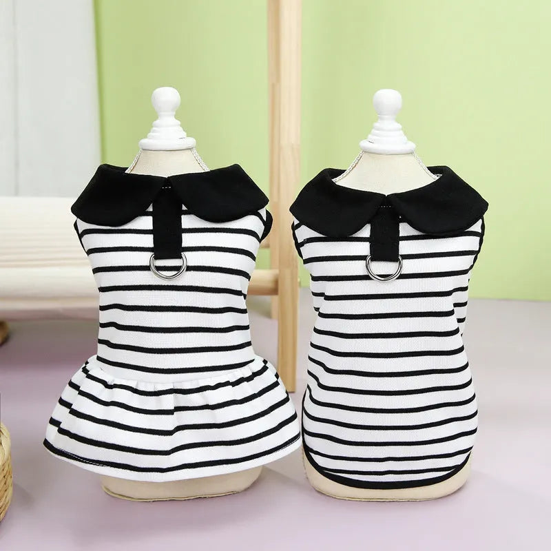 Pet dog wearing cotton t-shirt and striped skirt summer clothing set