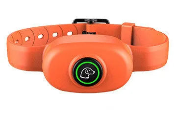 Black rechargeable remote dog training collar with waterproof IP65 rating and adjustable intensity control