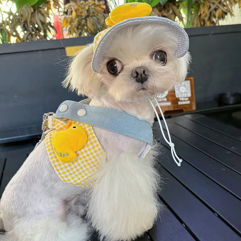 Three-piece cat clothes set showing harness, leash with wire rope, and cute hat for outdoor walks