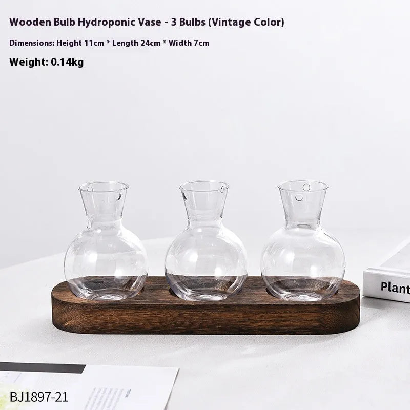 Transparent hydroponic vases in wooden frame holder for plant propagation