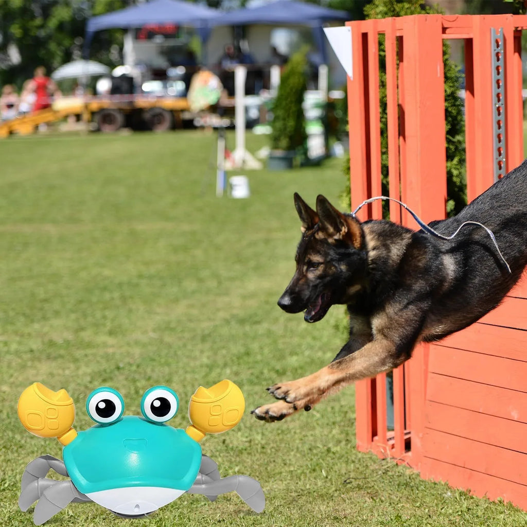 Blue automatic crab dog toy with obstacle avoidance sensor on a flat surface.
