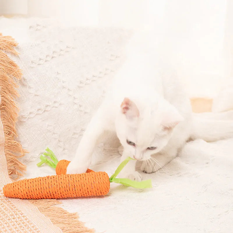 Interactive cat toys set with carrot-shaped paper toys, ringing stones, cat sticks, and dental grinding sticks