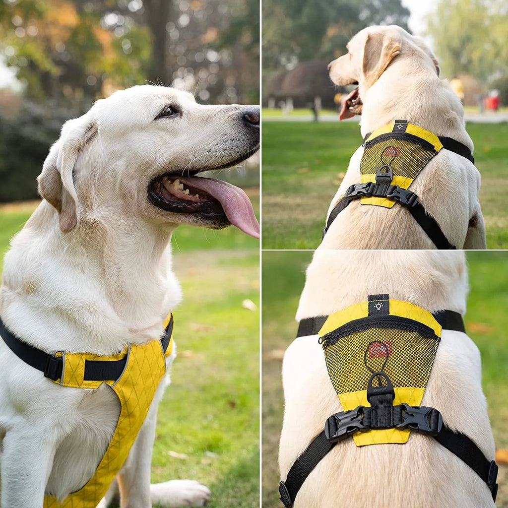 Waterproof reflective no-pull dog harness in nylon, black colour, chest strap design, sizes XXXS to L/XL