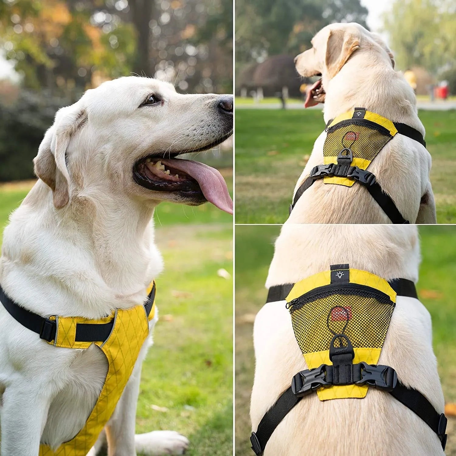 Waterproof reflective no-pull dog harness in nylon, black colour, chest strap design, sizes XXXS to L/XL