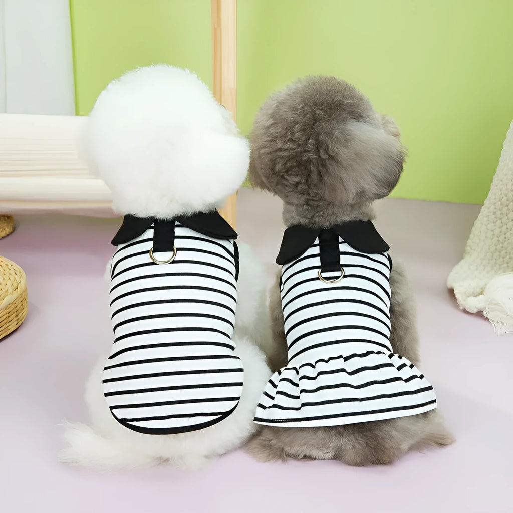 Pet dog wearing cotton t-shirt and striped skirt summer clothing set