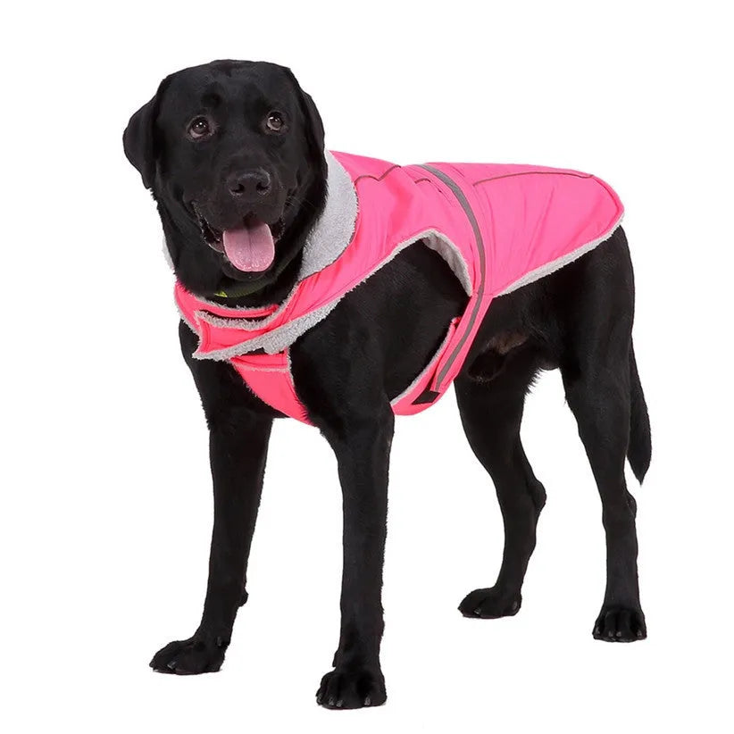 Reflective pet coat for dogs, cotton polyester blend, pink or purple, five sizes from S to XXL for night visibility
