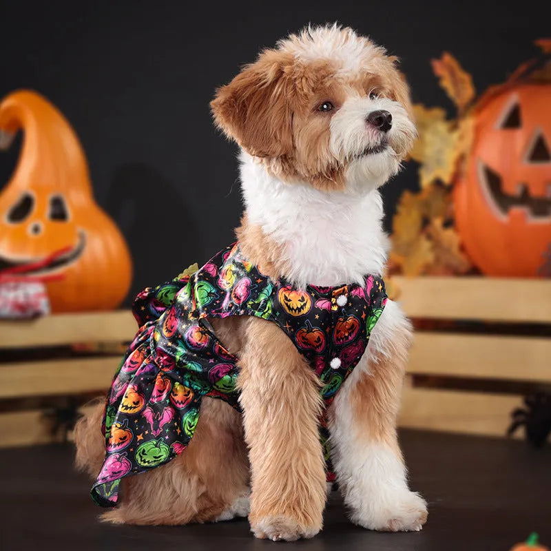 Halloween angel wings dog costume in bright pumpkin orange or bat black colours