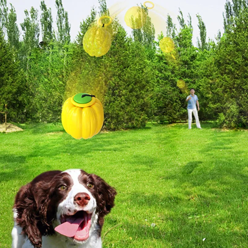 Plastic pumpkin-shaped dog chew ball with squeaker for small dogs in orange colour