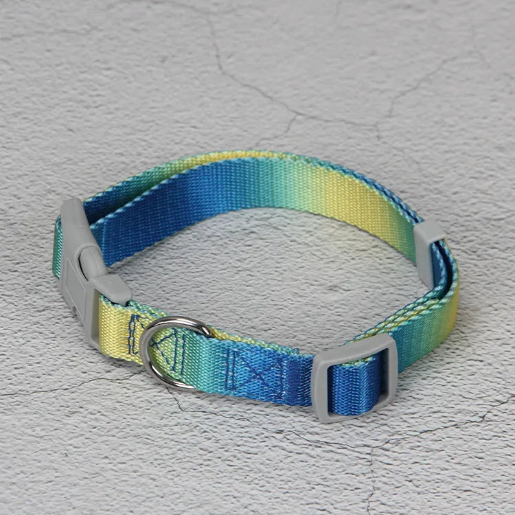 Nylon dog leash and harness set in pink and blue gradient colour, showing collar, leash, and chest strap components.