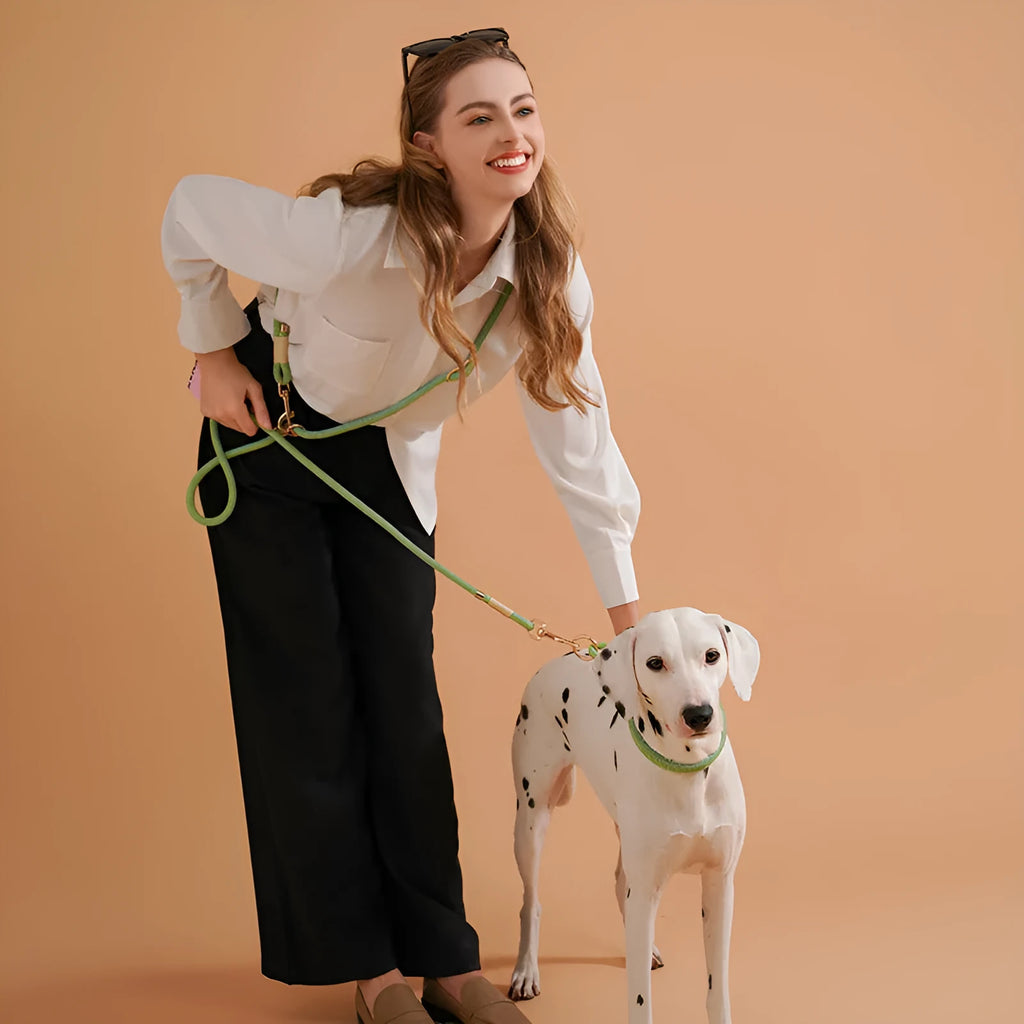 Nylon hand holding dog rope in Shadow White, 240cm long for small and medium breeds