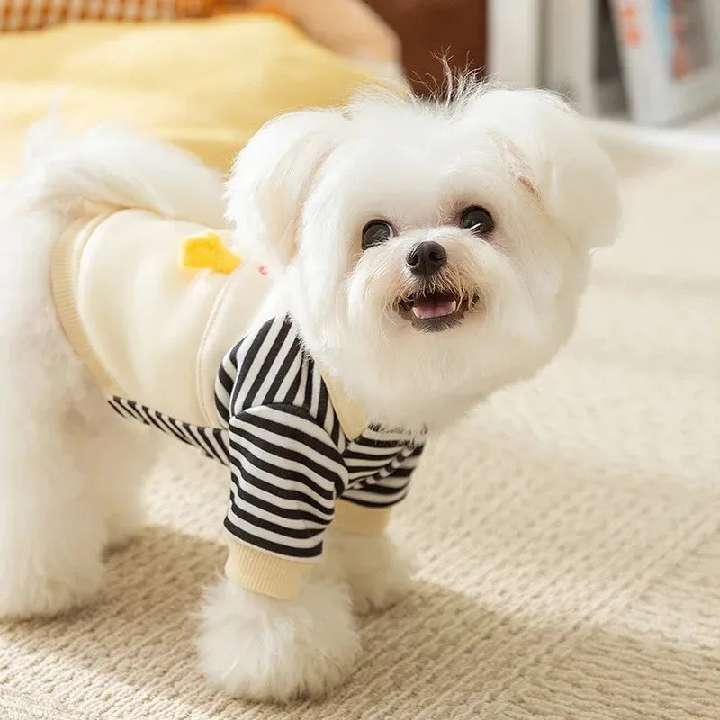 Korean style pet sweatshirt with duck design on small dog, autumn winter clothing