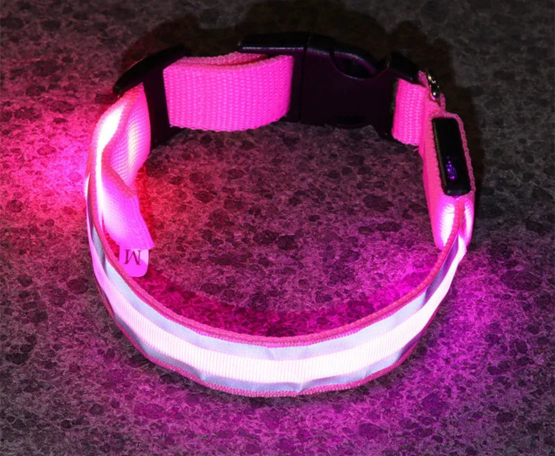 Anti-lost LED luminous dog collar on dog, nylon webbing, monochrome pattern