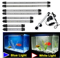 LED aquarium submersible lamp with blue light underwater in fish tank showing fish and rocks