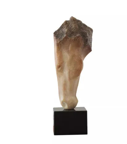 French retro abstract carved horse head art sculpture desktop ornament 50cm high