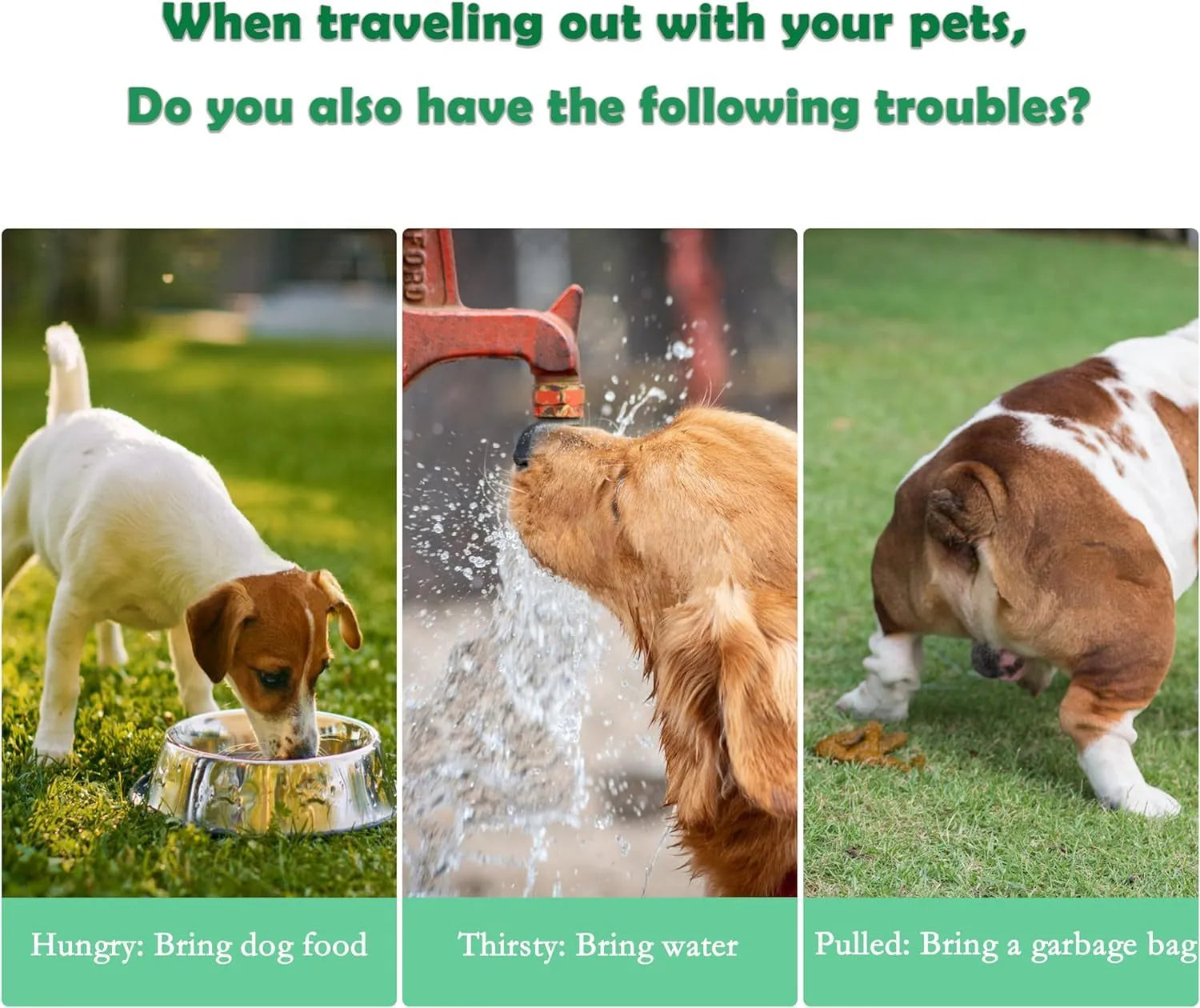 3-in-1 portable pet water bottle with food container and waste bag dispenser in green pink white colours
