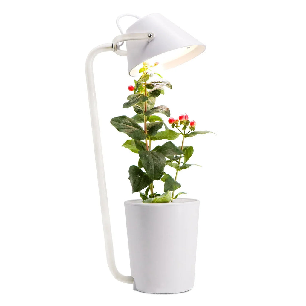 White plastic desktop hydroponic growing system for soilless plant cultivation