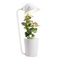 White plastic desktop hydroponic growing system for soilless plant cultivation