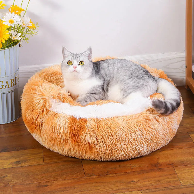 Waterproof cloth dog kennel in a semi-surrounded design shown in a gradient colour.