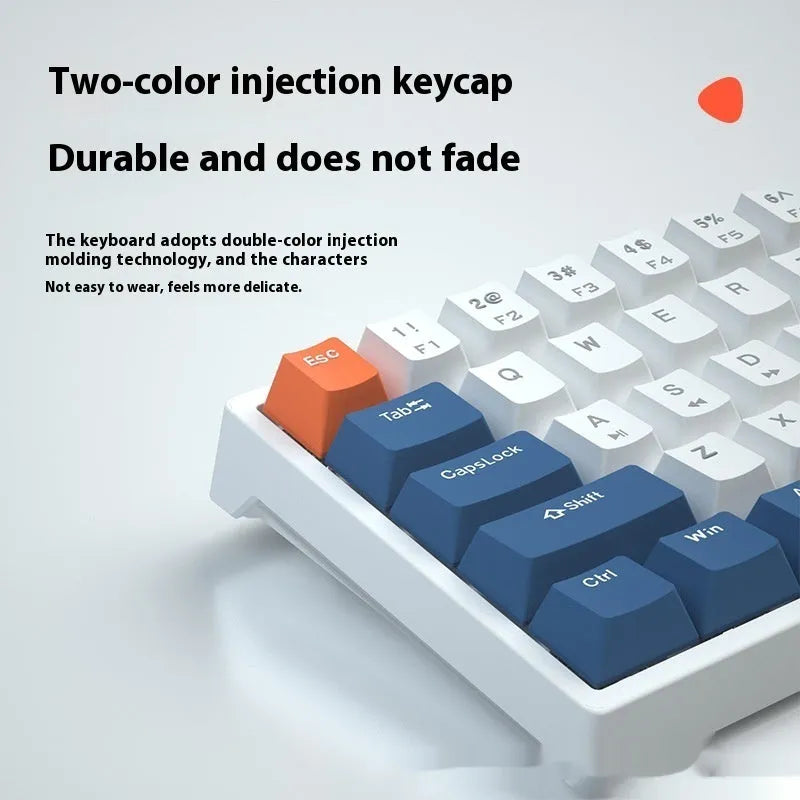 Small 61-key mechanical keyboard with wired USB connection and hot-swappable switches