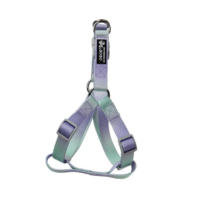 Nylon dog leash and harness set in pink and blue gradient colour, showing collar, leash, and chest strap components.