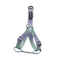 Nylon dog leash and harness set in pink and blue gradient colour, showing collar, leash, and chest strap components.