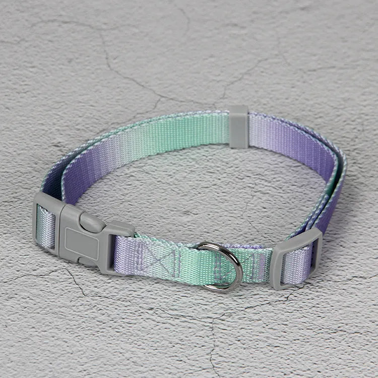 Nylon dog leash and harness set in pink and blue gradient colour, showing collar, leash, and chest strap components.