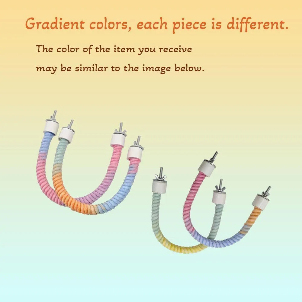 Gradient colour bird rope perch with U-shape and circular swing on a cage