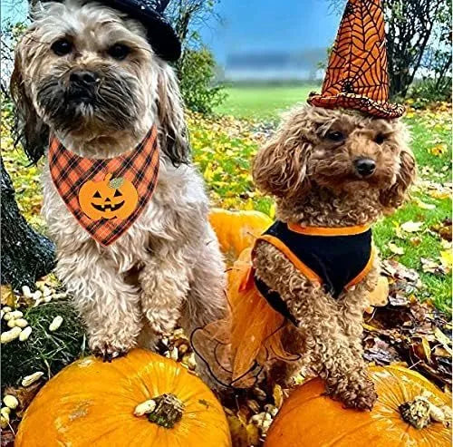 Orange plaid Halloween dog bandana with pumpkin and skeleton felt appliques on a white background