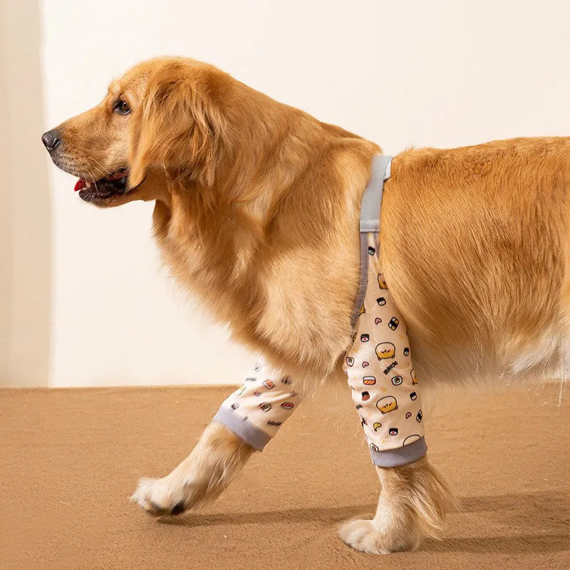 Blue dog knee brace with elbow padding and matching scarf shown on medium-sized dog