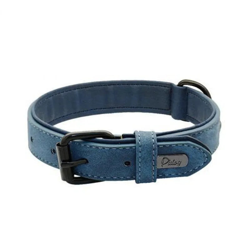 Adjustable dog collar in purple with anti-loss design and durable double-layer construction