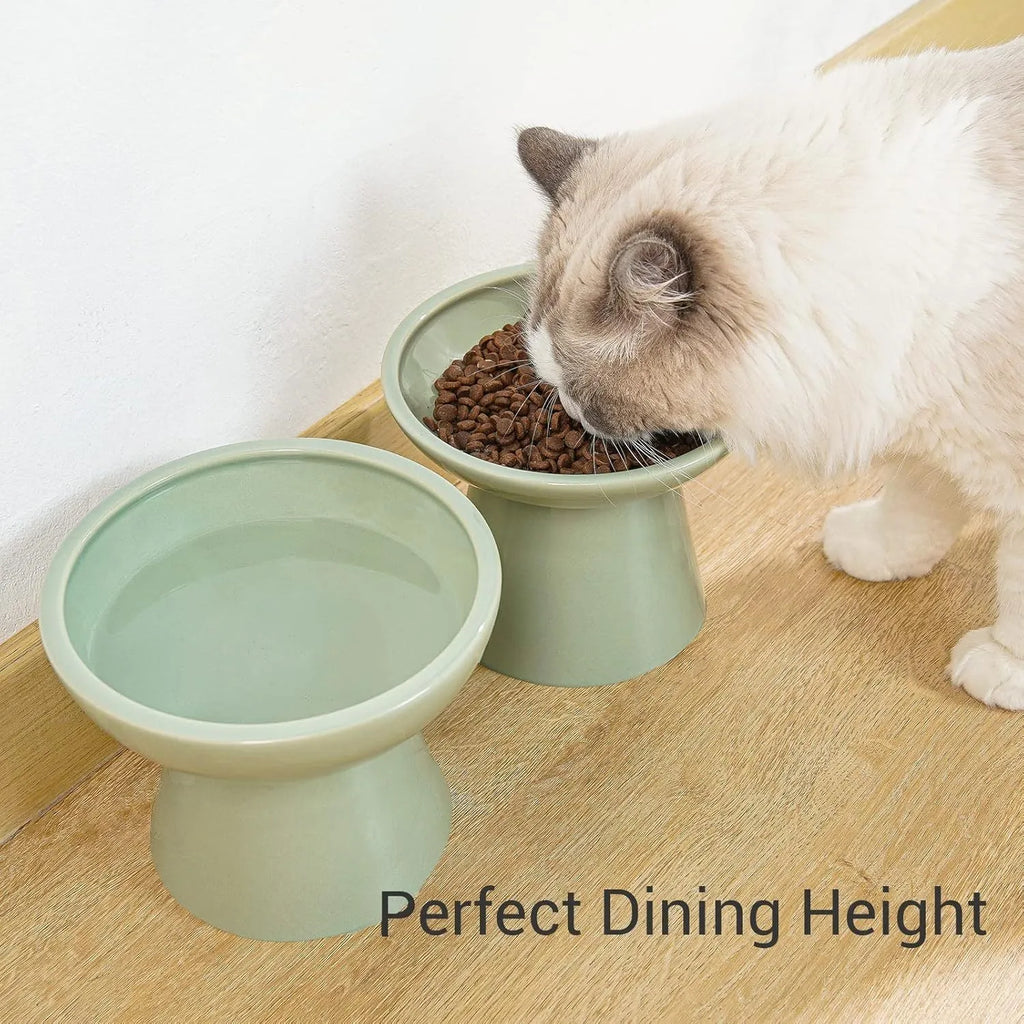 Ceramic elevated cat bowl with wide shallow design in blue, green, pink or white
