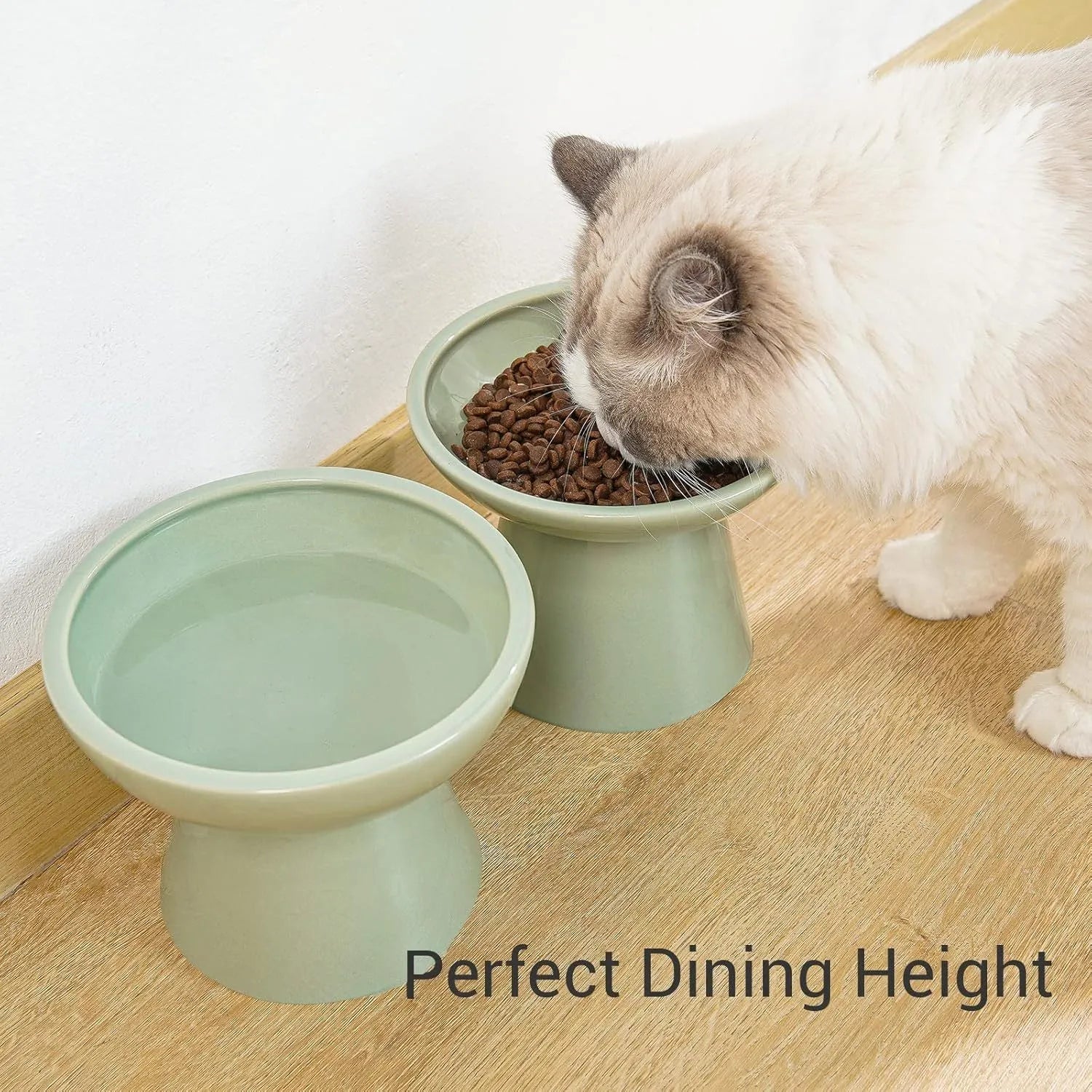 Ceramic elevated cat bowl with wide shallow design in blue, green, pink or white