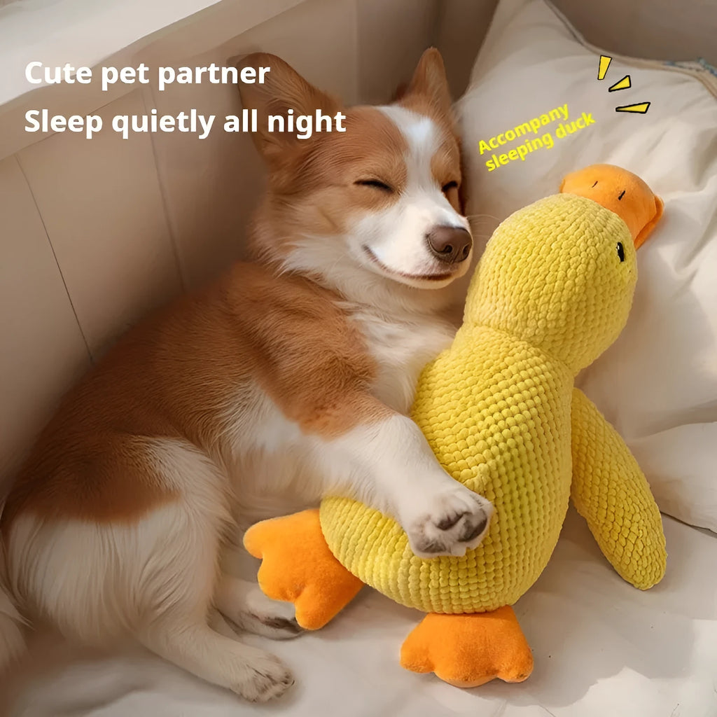 Yellow pet plush duck toy with squeaker for dogs, three sizes available L M S