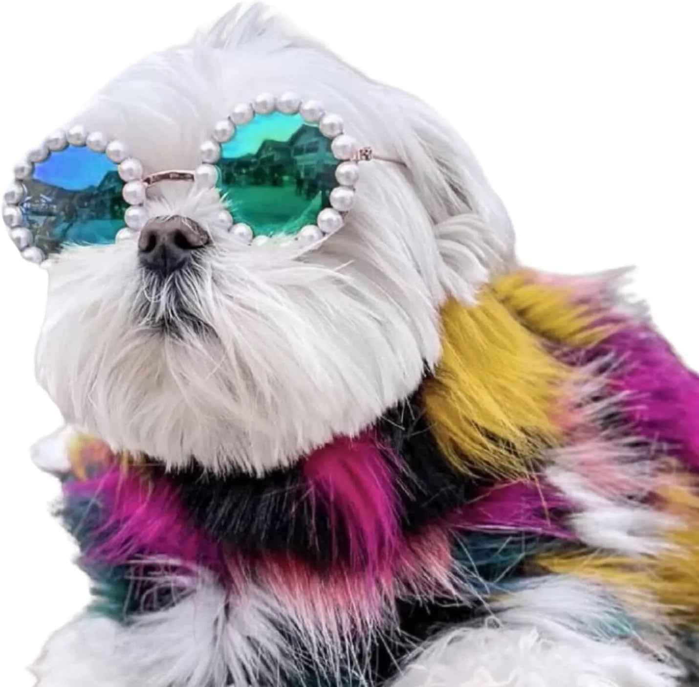 Pearl-rimmed round sunglasses for cats and dogs in multiple colours on a pink background.