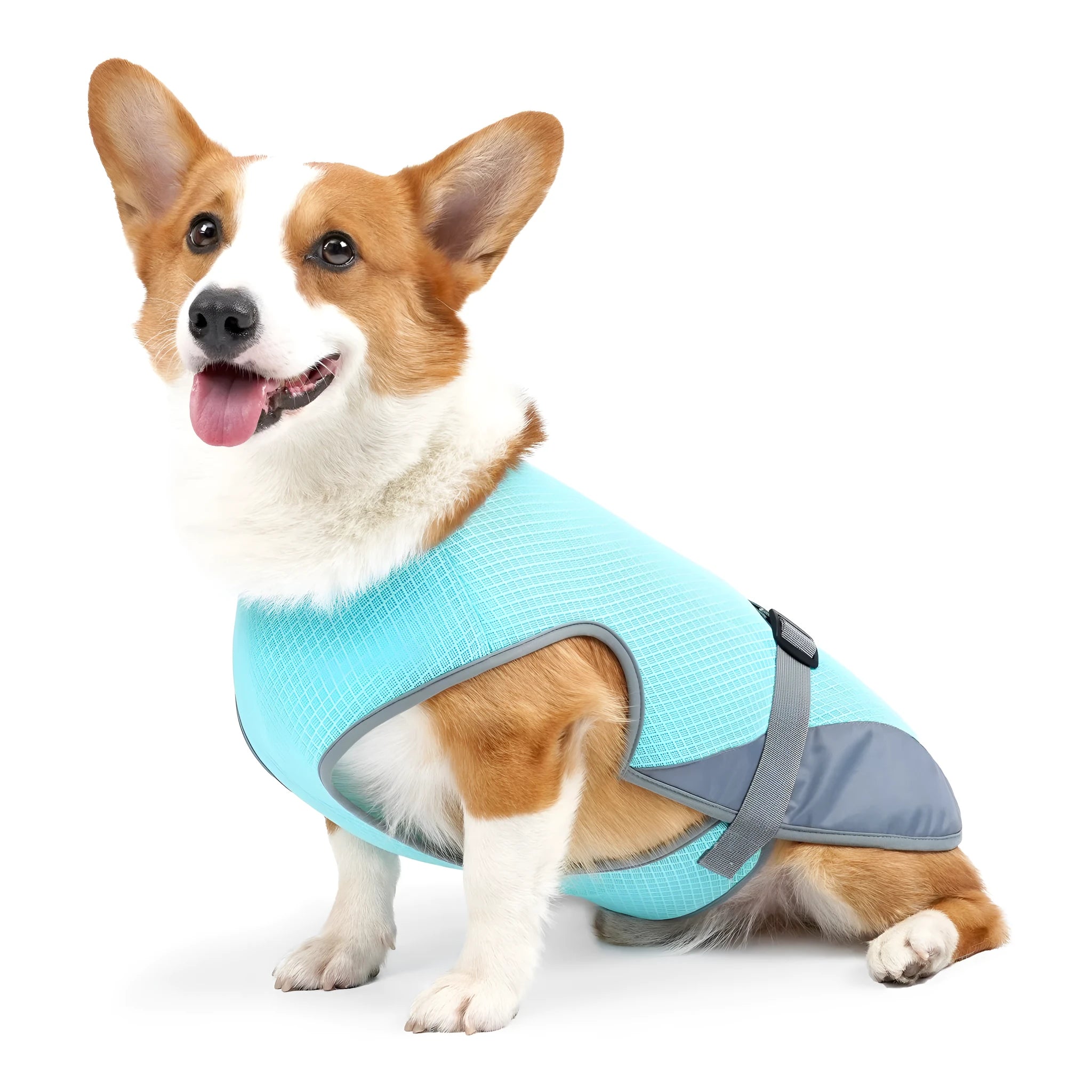 Polyester dog cooling vest in light grey colour on canine model