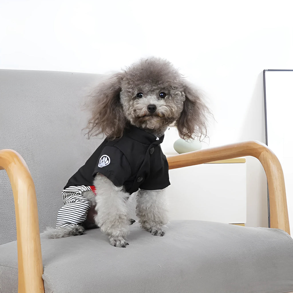 Cotton poodle dog clothes in skirt and four-legged pants styles for spring and autumn seasons