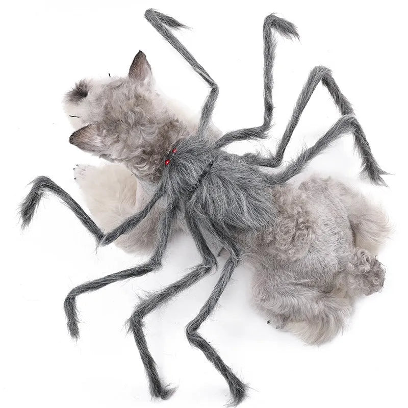 Grey spider Halloween costume on a dog showing the full outfit with multiple legs.