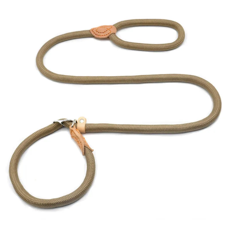 Blast race training dog leash and padded collar set in multiple colours