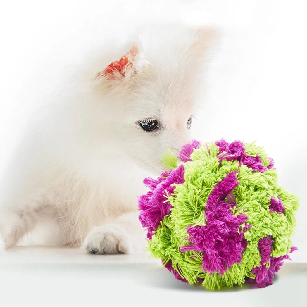 Purple plush dog seaweed ball toy with knotted design for chewing and fetch games