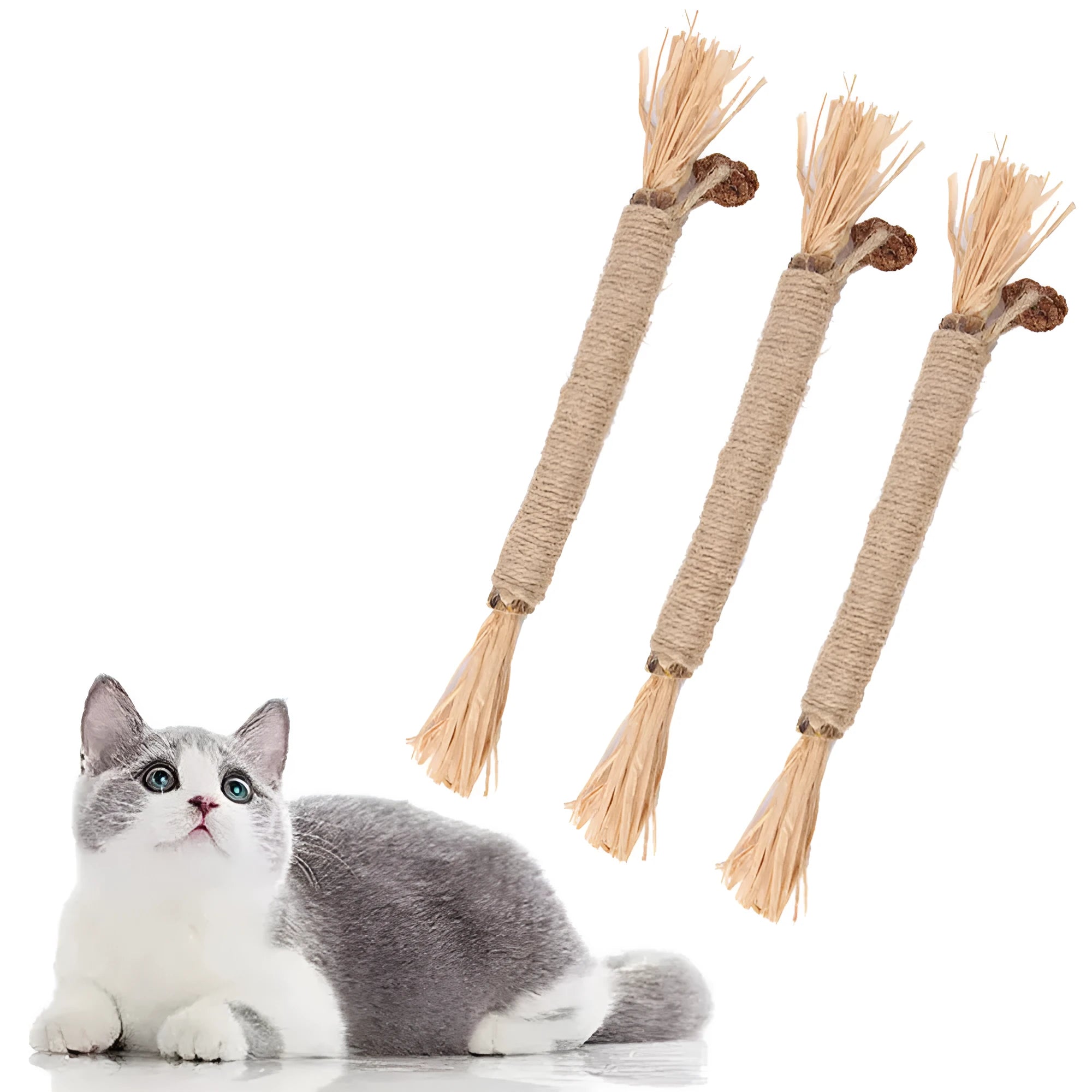 Three natural silvervine chew sticks for cats on a wooden surface, showing thick and fine diameter options