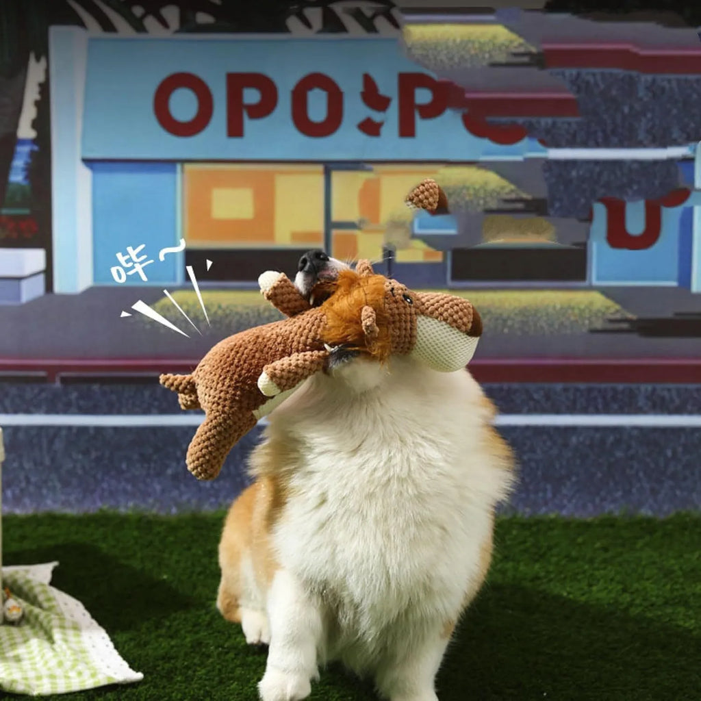 Colourful plush dog toy in animal shape with corn kernel texture and squeaker.