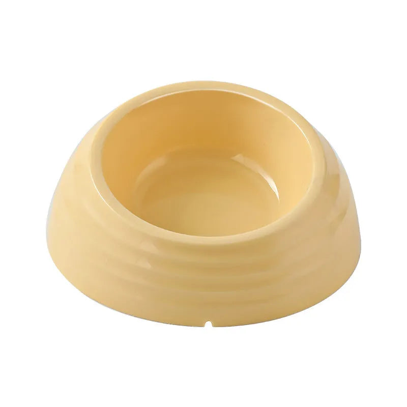 Stainless steel cat bowl in a beige plastic base