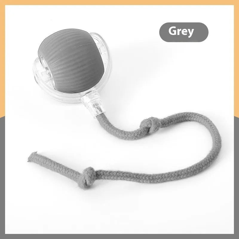 Interactive cat rolling ball toy in grey, green, and red colour options with automatic motion features
