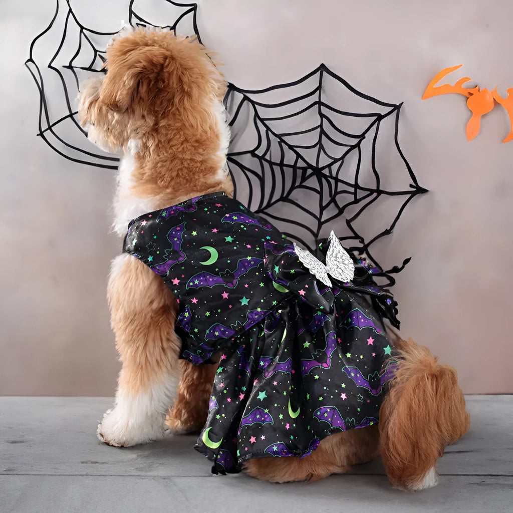 Halloween angel wings dog costume in bright pumpkin orange or bat black colours