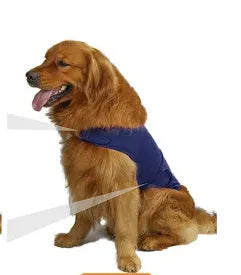 Dog wearing brocade cotton calming tank top in light grey colour for anxiety relief