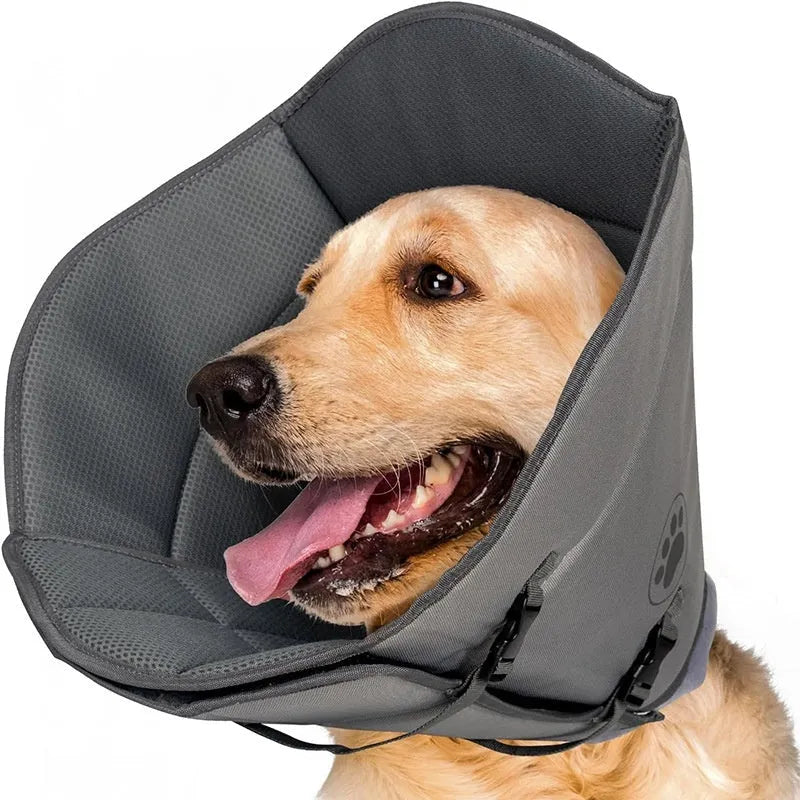 Adjustable polyester pet sterilization collar ring in a casual style, shown in size L.