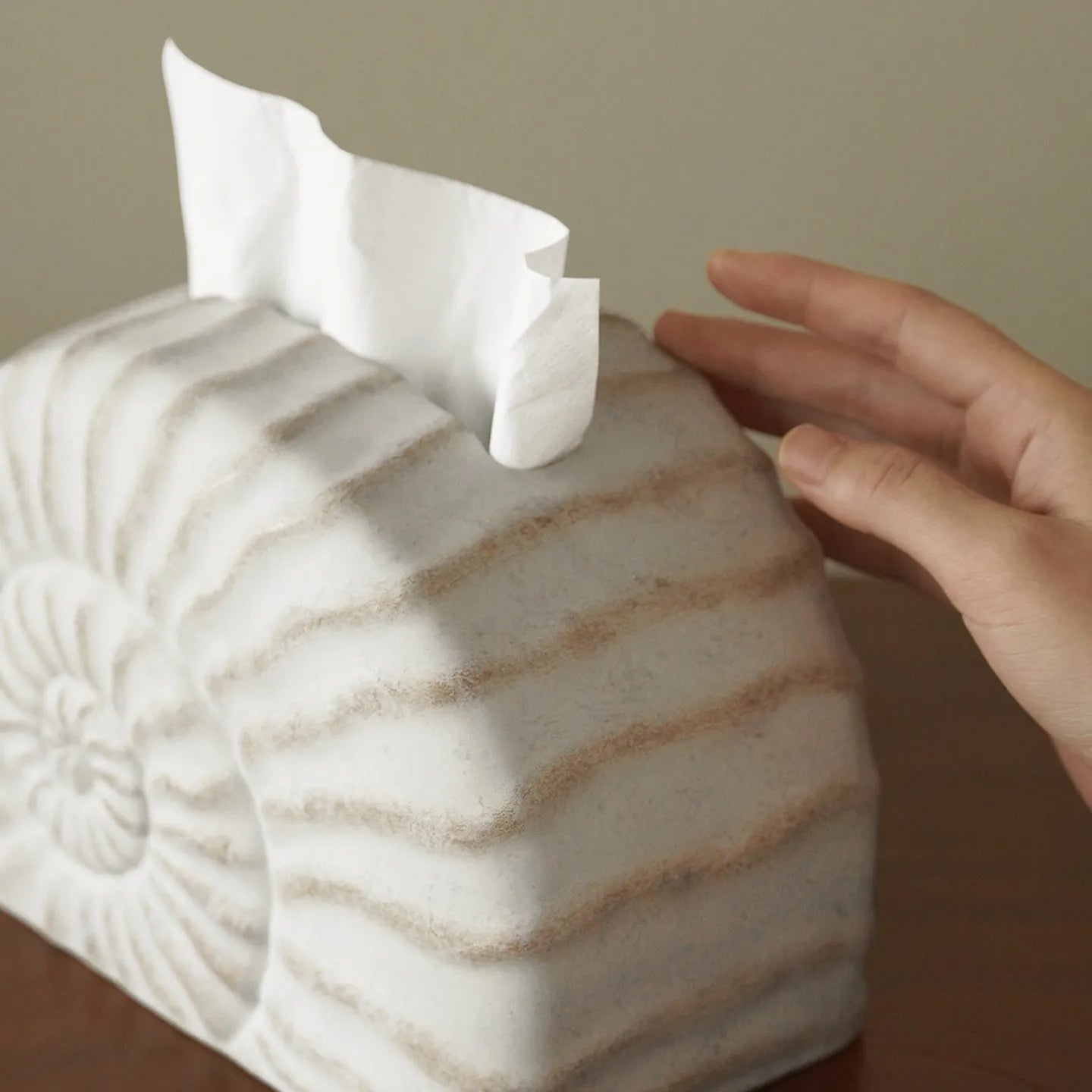 Resin conch shell tissue box decoration in conch ramble colour on wooden table